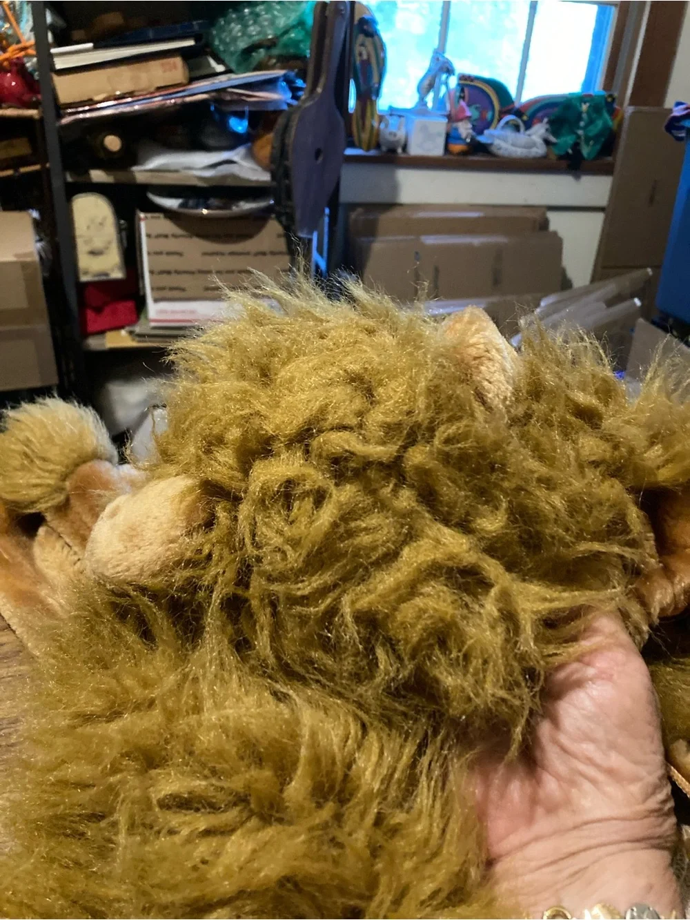 Caltoy Kids Brown Plush Lion Costume with Mane